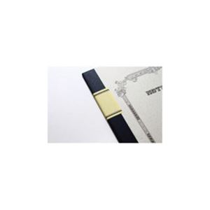 ツバメノート 大学ノート W30SセミB5 A罫 フールス 30枚